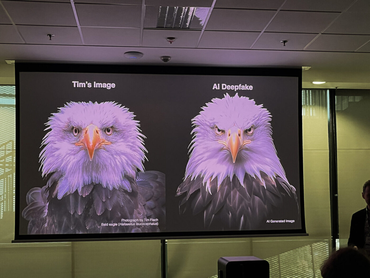 Po lewej oryginalne zdjęcia Tima. Po prawej obraz wygenerowany w Midjourney. 